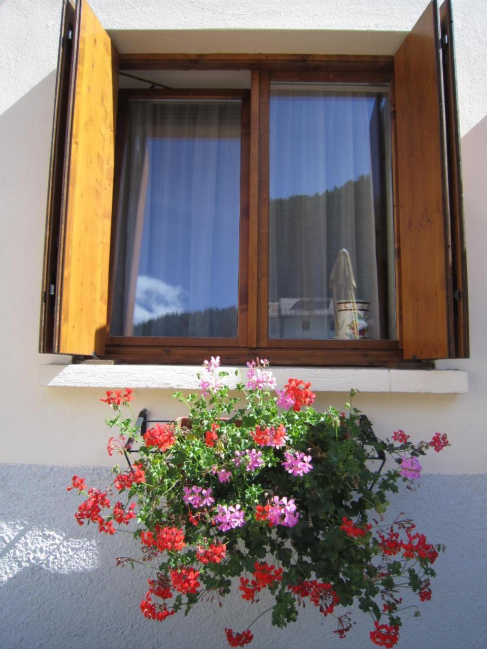 Casa Alpina Sacro Cuore Canale d'Agordo Exterior photo